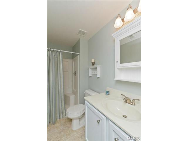 107 Hawks Haven Dr, O'fallon, MO 63368 photo 42