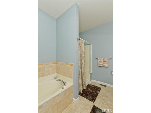 107 Hawks Haven Dr, O'fallon, MO 63368 photo 27