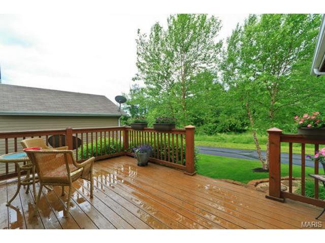 107 Hawks Haven Dr, O'fallon, MO 63368 photo 44