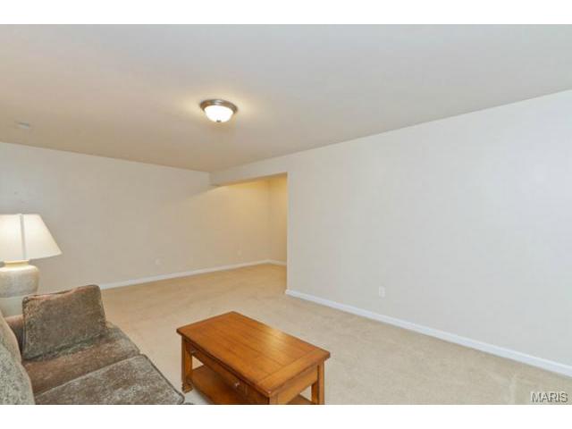 107 Hawks Haven Dr, O'fallon, MO 63368 photo 37