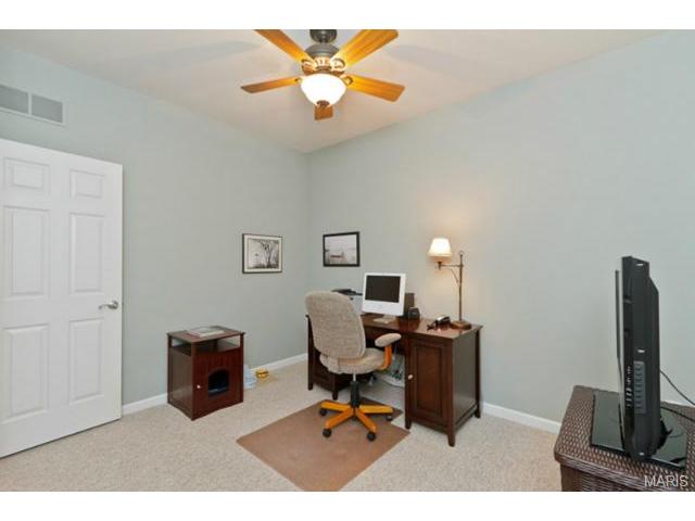 107 Hawks Haven Dr, O'fallon, MO 63368 photo 30