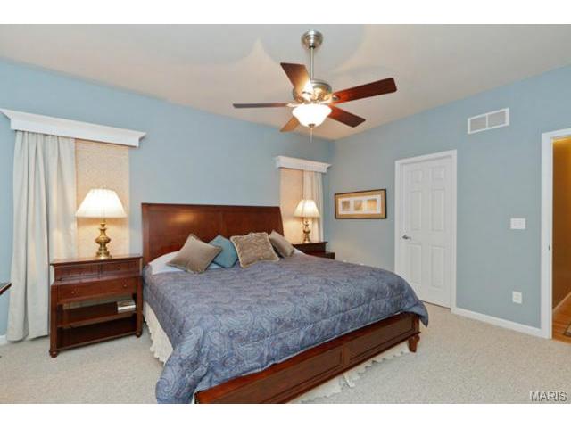 107 Hawks Haven Dr, O'fallon, MO 63368 photo 25