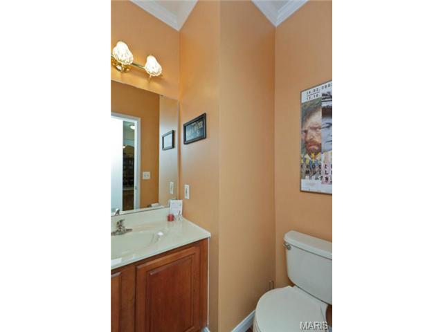 704 Sunset Hills Dr, O'fallon, MO 63366 photo 38