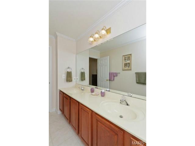 704 Sunset Hills Dr, O'fallon, MO 63366 photo 42