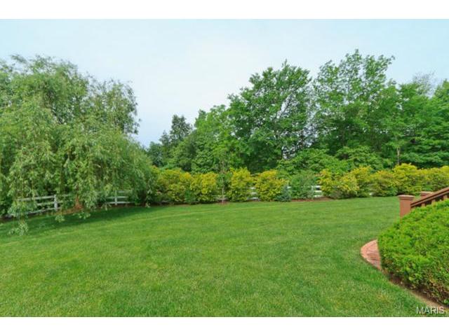 704 Sunset Hills Dr, O'fallon, MO 63366 photo 58