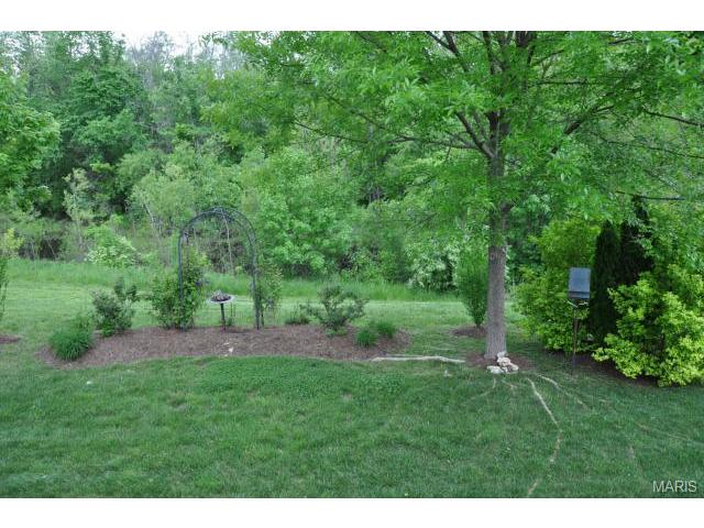 413 Dames Park Dr, O'fallon, MO 63366 photo 23