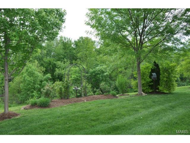 413 Dames Park Dr, O'fallon, MO 63366 photo 25