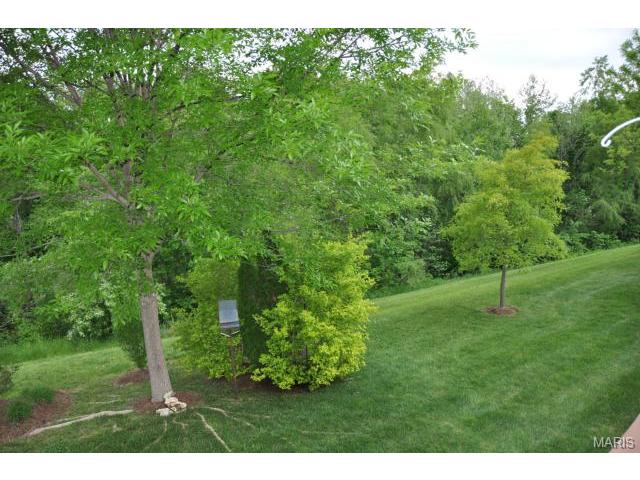 413 Dames Park Dr, O'fallon, MO 63366 photo 24