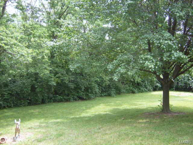 814 Pund Rd, O'fallon, MO 63366 photo 16