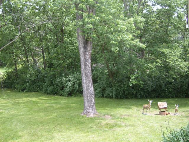 814 Pund Rd, O'fallon, MO 63366 photo 15