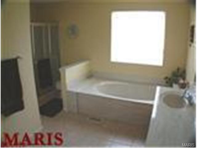 2905 Post Glen Ct, O'fallon, MO 63368 photo 17