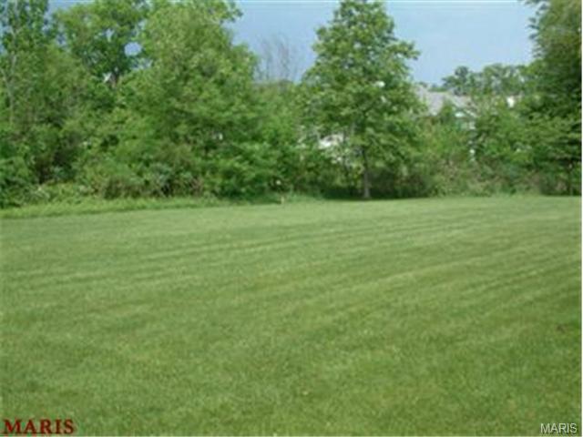 2905 Post Glen Ct, O'fallon, MO 63368 photo 27