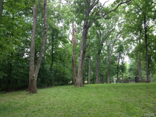 2 Country Rd, O'fallon, MO 63368 photo 13