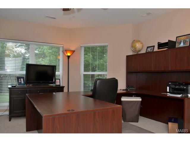301 Avanti Ct, O'fallon, MO 63368 photo 30