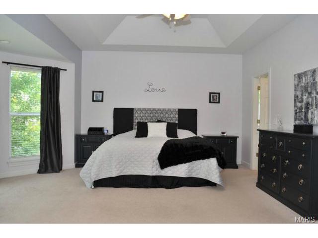 301 Avanti Ct, O'fallon, MO 63368 photo 17