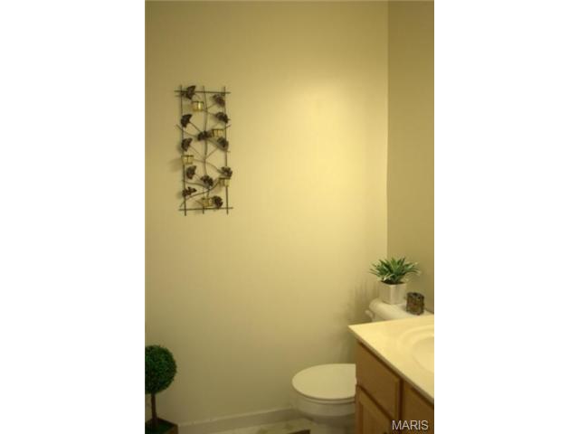 110 Mccluer Dr, O'fallon, MO 63368 photo 29