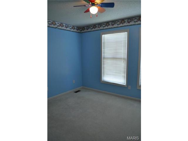 110 Mccluer Dr, O'fallon, MO 63368 photo 25