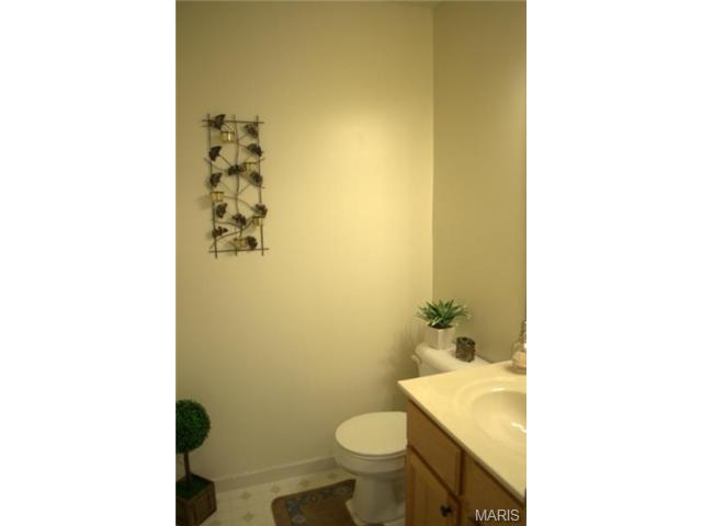 110 Mccluer Dr, O'fallon, MO 63368 photo 13