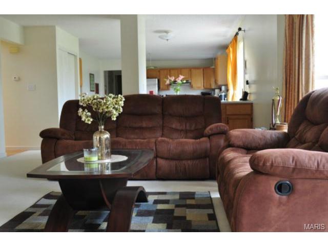 110 Mccluer Dr, O'fallon, MO 63368 photo 5