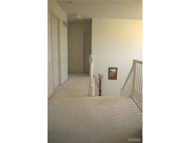 110 Mccluer Dr, O'fallon, MO 63368 photo 18