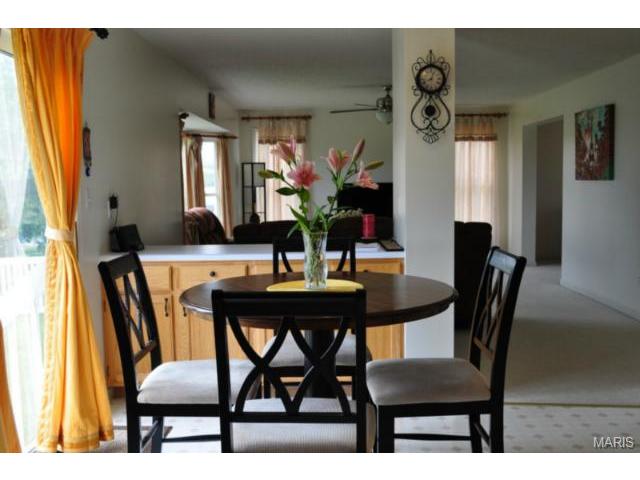 110 Mccluer Dr, O'fallon, MO 63368 photo 11