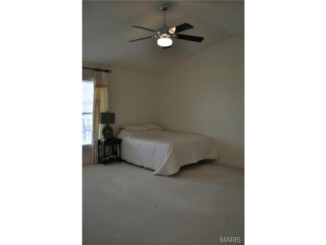110 Mccluer Dr, O'fallon, MO 63368 photo 20