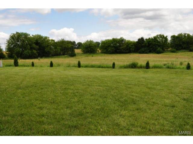 110 Mccluer Dr, O'fallon, MO 63368 photo 28