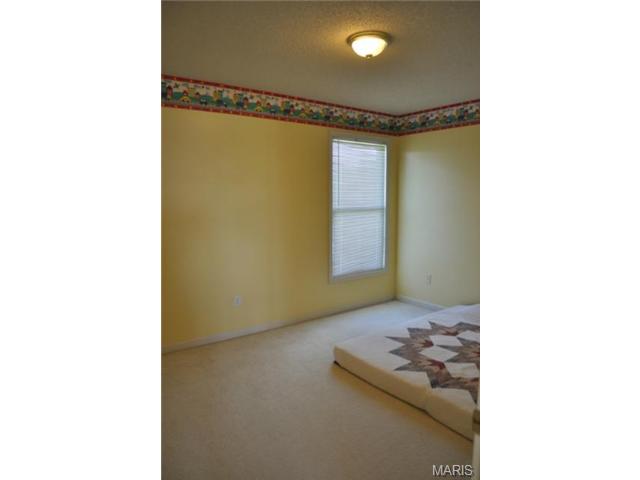 110 Mccluer Dr, O'fallon, MO 63368 photo 24