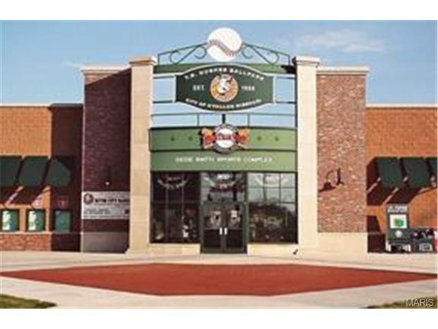 1022 Batters Box Ct, O'fallon, MO 63366 photo 46
