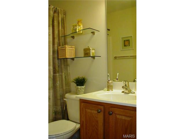 1022 Batters Box Ct, O'fallon, MO 63366 photo 17
