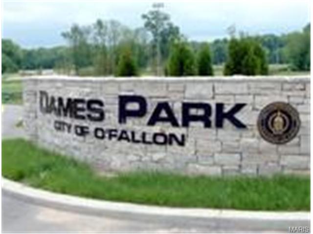 1022 Batters Box Ct, O'fallon, MO 63366 photo 45