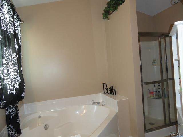 7332 Cinnamon Teal Dr, O'fallon, MO 63368 photo 27