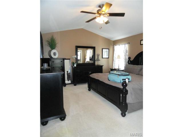 7332 Cinnamon Teal Dr, O'fallon, MO 63368 photo 26
