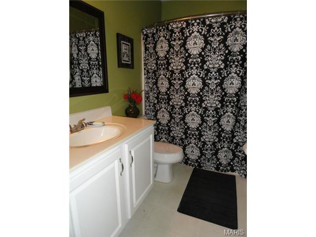 7332 Cinnamon Teal Dr, O'fallon, MO 63368 photo 24
