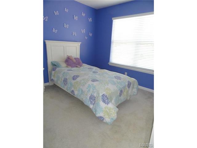 7332 Cinnamon Teal Dr, O'fallon, MO 63368 photo 22