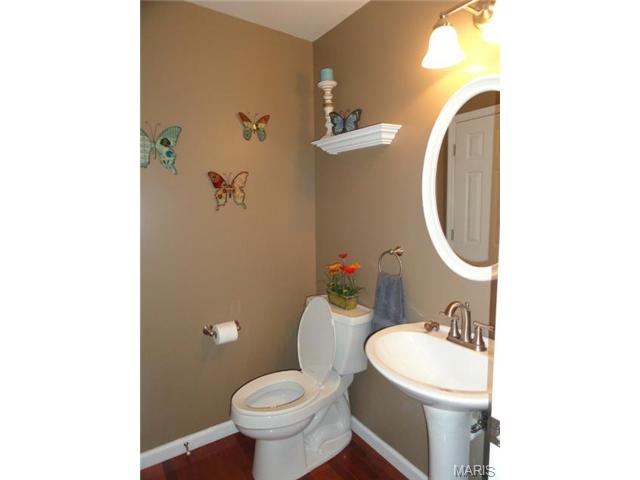 7332 Cinnamon Teal Dr, O'fallon, MO 63368 photo 20