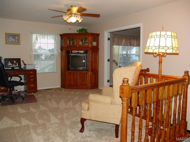9 Winter Wind, O'fallon, MO 63366 photo 18