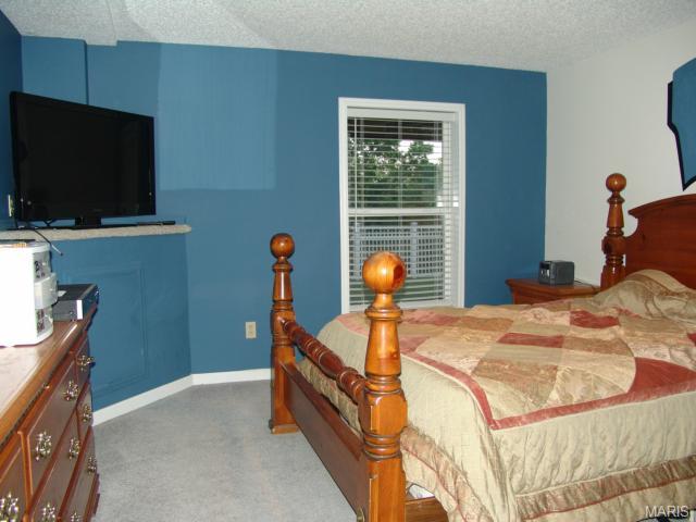 9 Winter Wind, O'fallon, MO 63366 photo 28