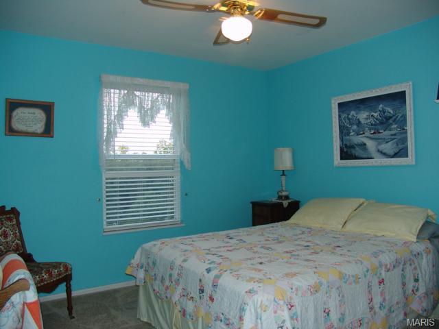 9 Winter Wind, O'fallon, MO 63366 photo 25