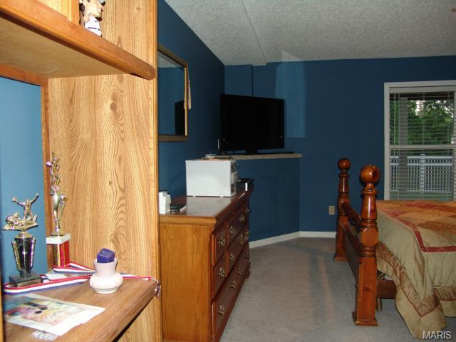9 Winter Wind, O'fallon, MO 63366 photo 27