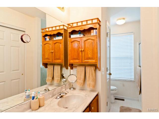 4 Black Cherry Ct, O'fallon, MO 63368 photo 11