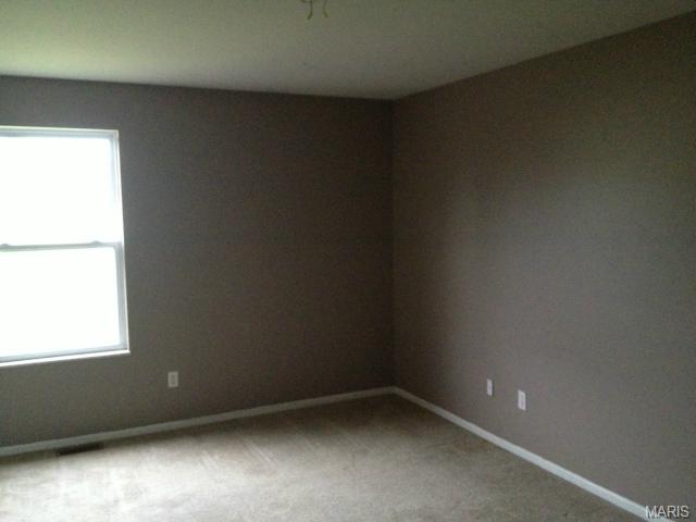 236 Sassafras Parc Dr, O'fallon, MO 63368 photo 14
