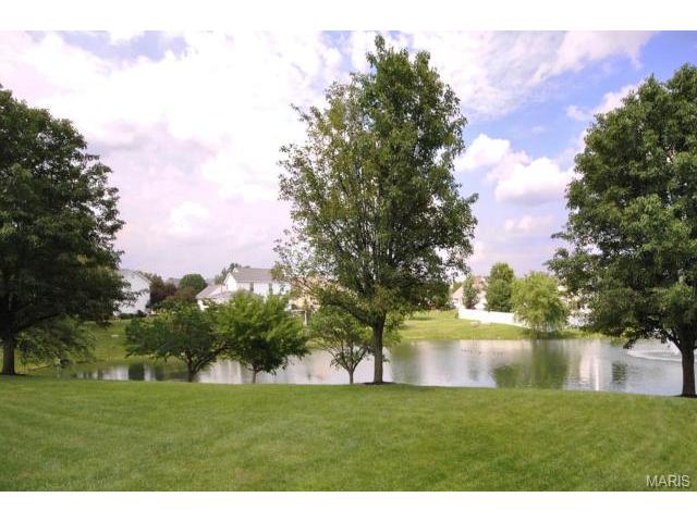 4 Boston Harbor Ct, O'fallon, MO 63366 photo 55