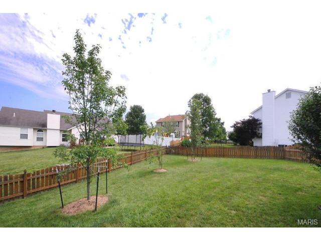 4 Boston Harbor Ct, O'fallon, MO 63366 photo 52