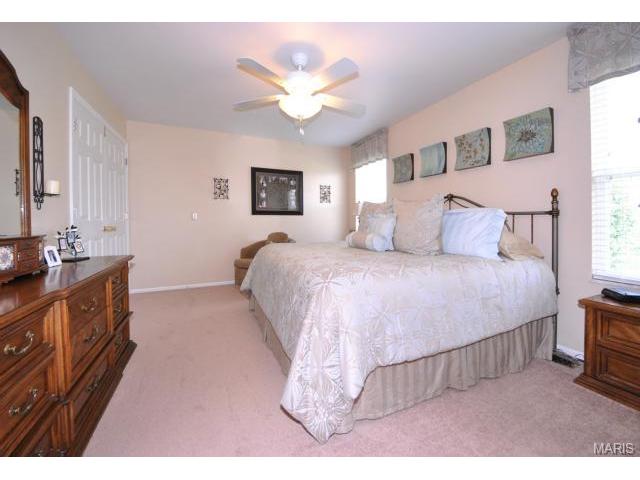 4 Boston Harbor Ct, O'fallon, MO 63366 photo 29