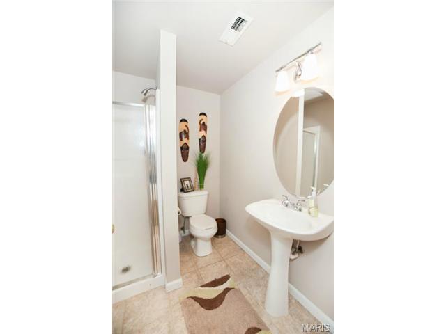 1227 Raintree Pass, O'fallon, MO 63366 photo 30