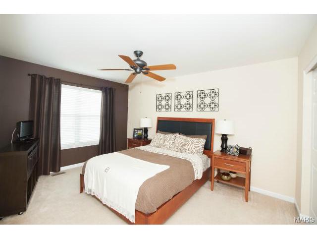 1227 Raintree Pass, O'fallon, MO 63366 photo 22