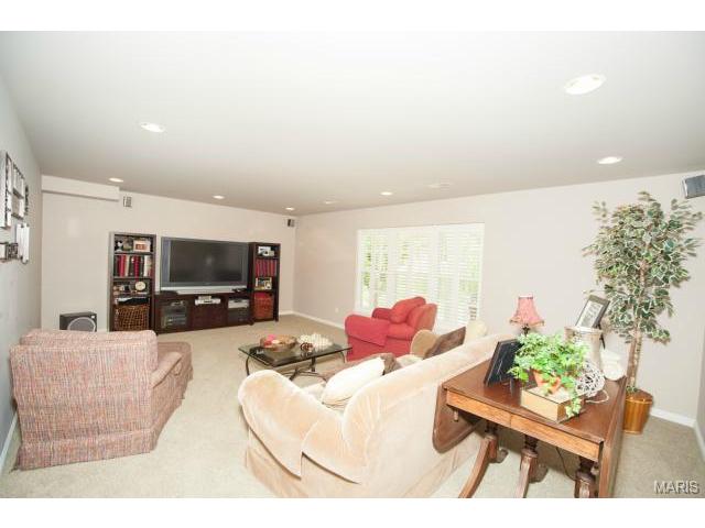 1227 Raintree Pass, O'fallon, MO 63366 photo 27