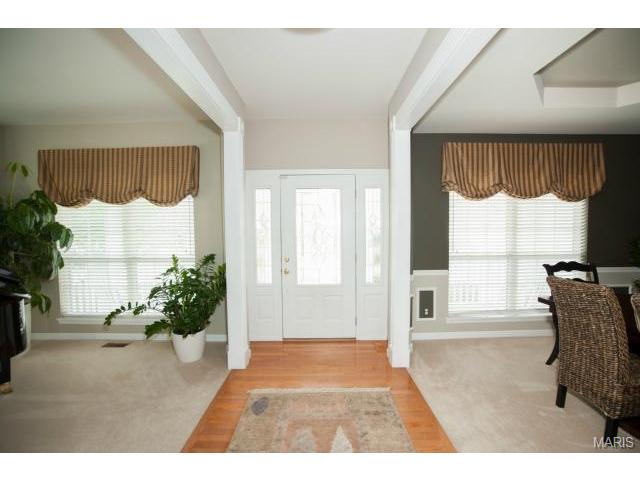 1227 Raintree Pass, O'fallon, MO 63366 photo 7