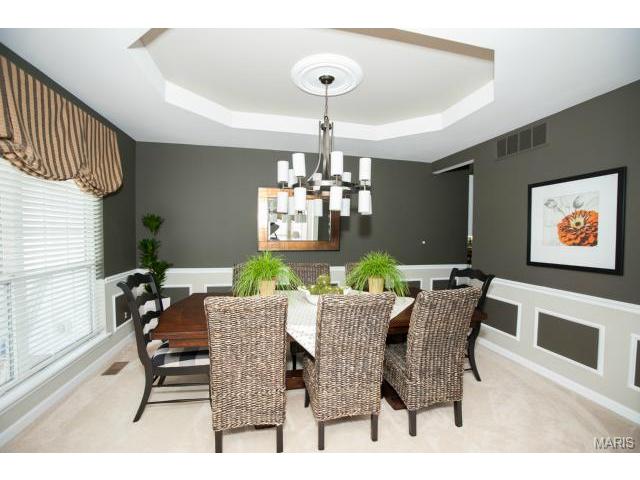 1227 Raintree Pass, O'fallon, MO 63366 photo 5